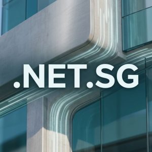 Built-in Security and Protection Features of .NET.SG Domains