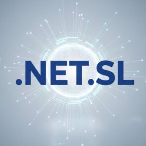 Built-in Security and Protection Features of .NET.SL Domains