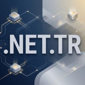 Built-in Security and Protection Features of .NET.TR Domain