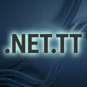 Built-in Security and Protection Features of .NET.TT Domains