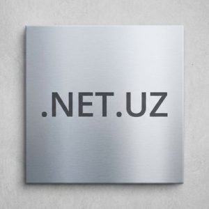 Built-in Security and Protection Features of .NET.UZ Domains