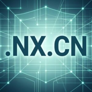 Built-in Security and Protection Features of .NX.CN Domain
