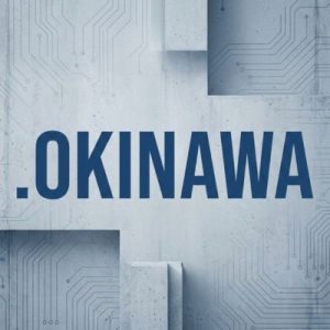 Built-in Security and Protection Features of .OKINAWA Domains