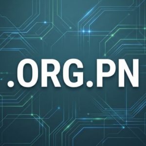 Built-in Security and Protection Features of .ORG.PN Domains