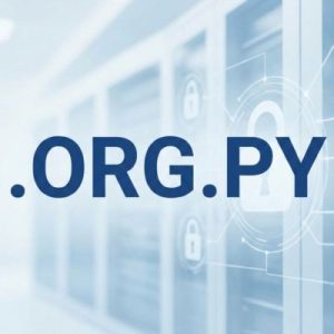 Built-in Security and Protection Features of .ORG.PY Domains