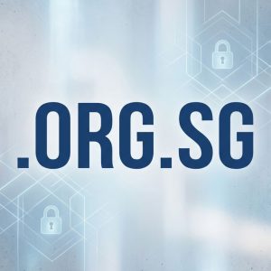 Built-in Security and Protection Features of .ORG.SG Domains