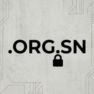 Built-in Security and Protection Features of .ORG.SN Domain