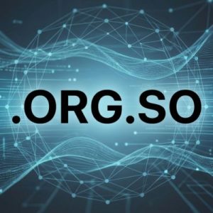 Built-in Security and Protection Features of .ORG.SO Domains
