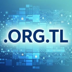 Built-in Security and Protection Features of .ORG.TL Domains