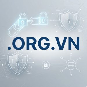 Built-in Security and Protection Features of .ORG.VN Domains