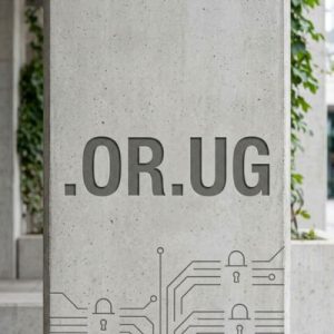 Built-in Security and Protection Features of .OR.UG Domain