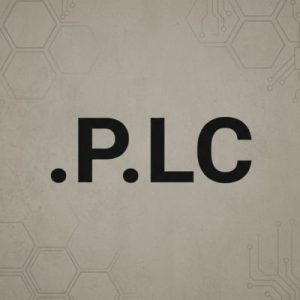 Built-in Security and Protection Features of .P.LC Domains