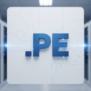 Built-in Security and Protection Features of .PE Domains
