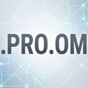 Built-in Security and Protection Features of .PRO.OM Domains