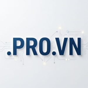 Built-in Security and Protection Features of .PRO.VN Domains