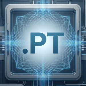 Built-in Security and Protection Features of .PT Domains
