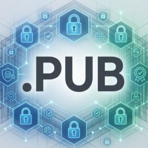 Built-in Security and Protection Features of .PUB Domains