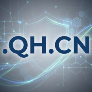 Built-in Security and Protection Features of .QH.CN Domain