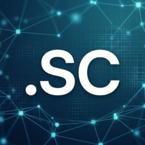 Built-in Security and Protection Features of .SC Domains