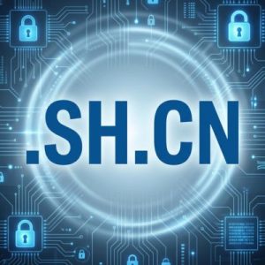 Built-in Security and Protection Features of .SH.CN Domains