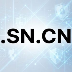 Built-in Security and Protection Features of .SN.CN Domain 