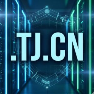 Built-in Security and Protection Features of .TJ.CN Domain