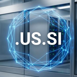 Built-in Security and Protection Features of .US.SI Domains