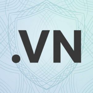Built-in Security and Protection Features of .VN Domains