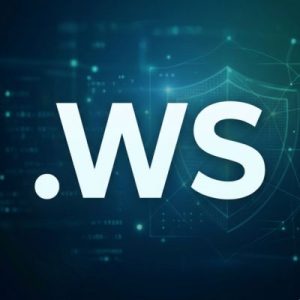 Built-in Security and Protection Features of .WS Domains