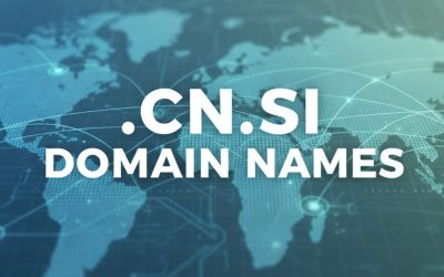 .CN.SI Domain Names