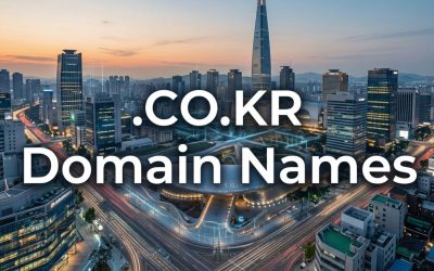 .CO.KR Domain Names