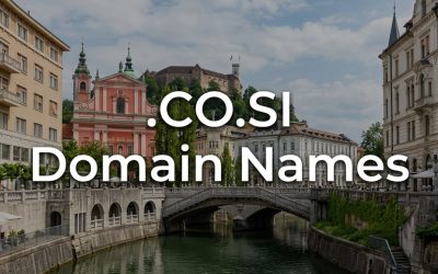.CO.SI Domain Names