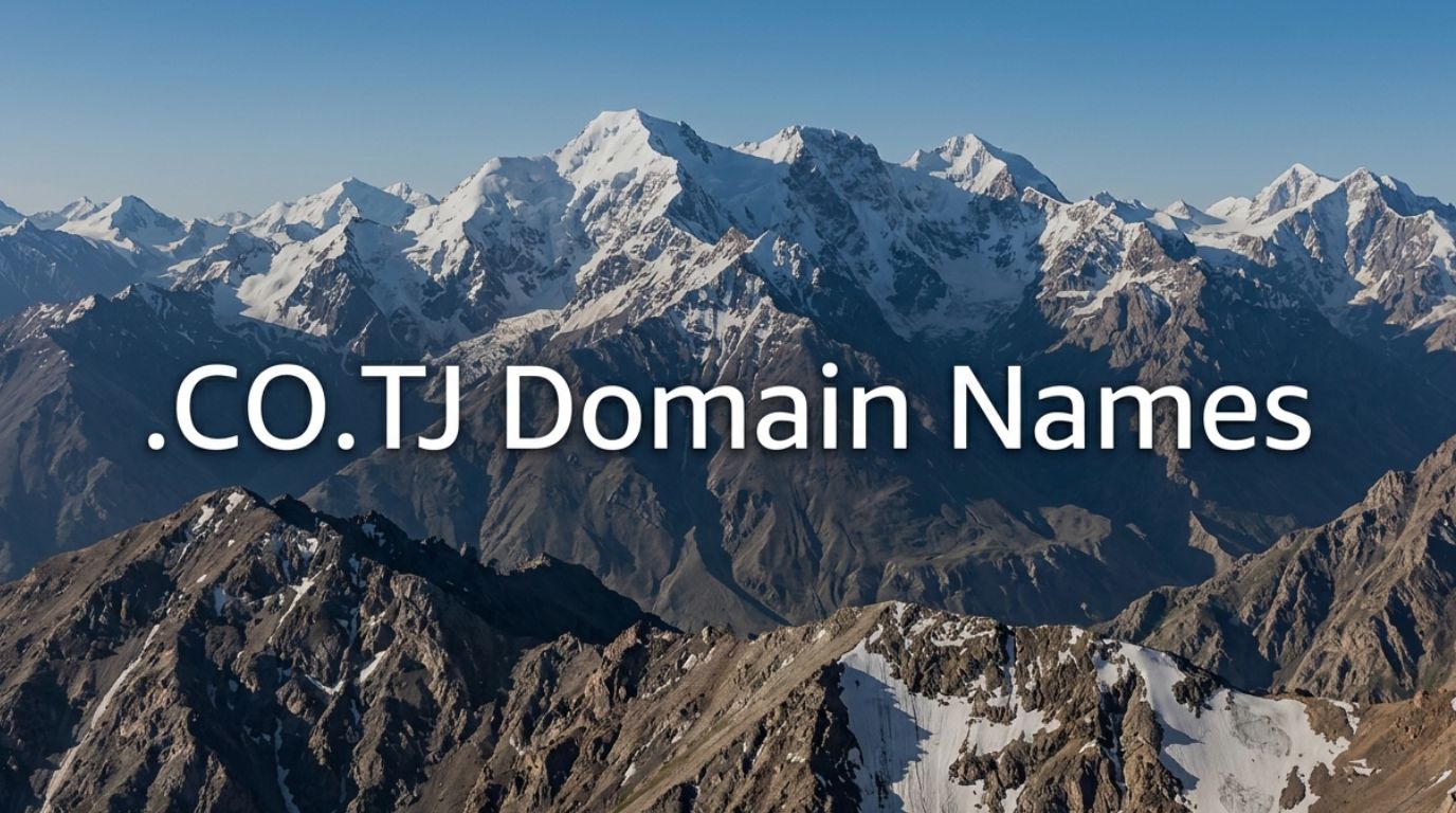 .CO.TJ Domain Names .CO.TJ Domain Names