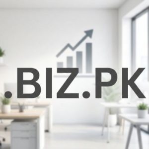 Complete .BIZ.PK Domain Registration Workflow