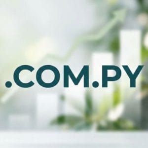 Complete .COM.PY Domain Registration Workflow