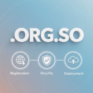 Complete .ORG.SO Domain Registration Workflow