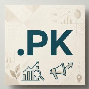 Complete .PK Domain Registration Workflow