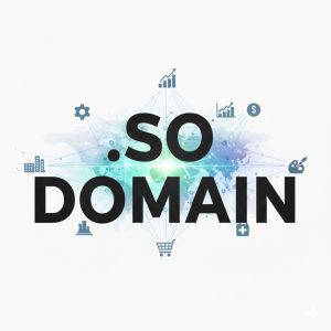 Complete .SO Domain Registration Workflow