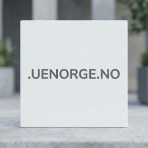 Complete .UENORGE.NO Domain Registration Workflow