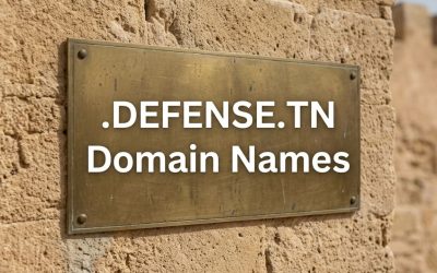 .DEFENSE.TN Domain Names
