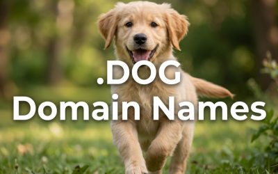 .DOG Domain Names