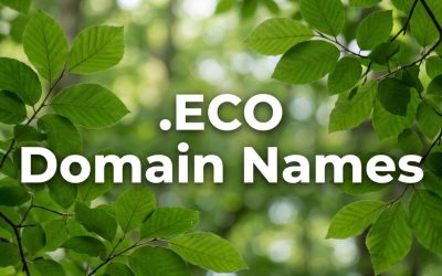 .ECO Domain Names