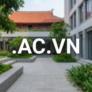 Eligibility Criteria for Registering a .AC.VN Domain