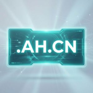 Eligibility Criteria for Registering a .AH.CN Domain