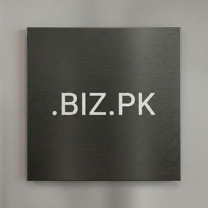 Eligibility Criteria for Registering a .BIZ.PK Domain
