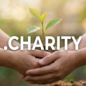 Eligibility Criteria for Registering a .CHARITY Domain