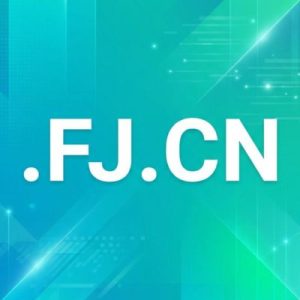 Eligibility Criteria for Registering a .FJ.CN Domain