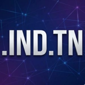 Eligibility Criteria for Registering a .IND.TN Domain