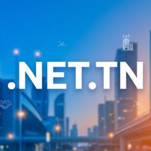 Eligibility Criteria for Registering a .NET.TN Domain