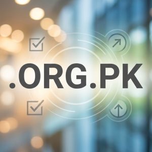 Eligibility Criteria for Registering a .ORG.PK Domain